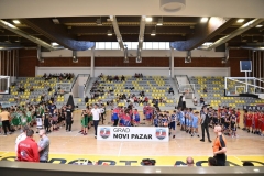 mini-basket-np_1