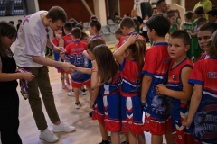 mini-basket-np_8